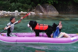 カヤック ハドソン で大型犬と那珂川をツーリング フリーライター前太の大型犬比較 Com